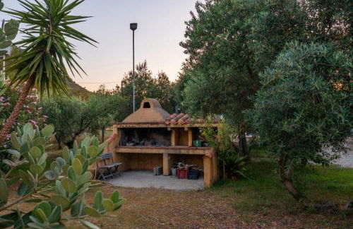 Armandiola - Foto 19