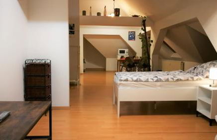 Attic Oelsnitz am Hegebach mit Netflix und Parkplatz Self Check-in - Foto 3