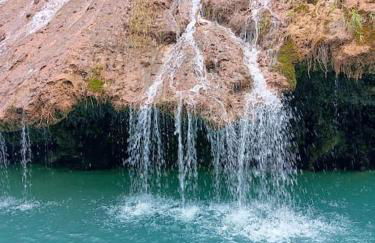 Le Mas Les Salamandres - Foto 36