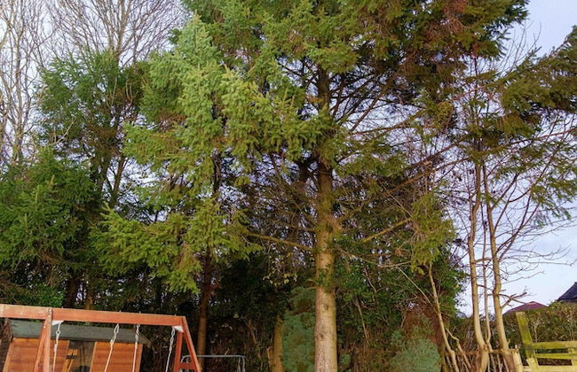 West Park House - Foto 44