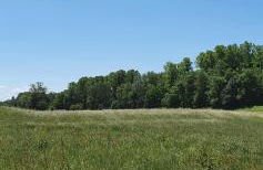 Ferienappartement Grüner Elch - Foto 21