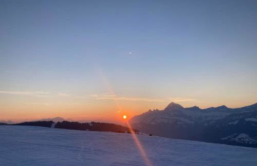 Demi Chalet Le LACHAT - Photo 51