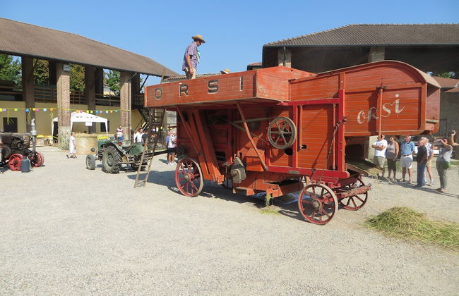 Agriturismo Le Risaie - Photo 53