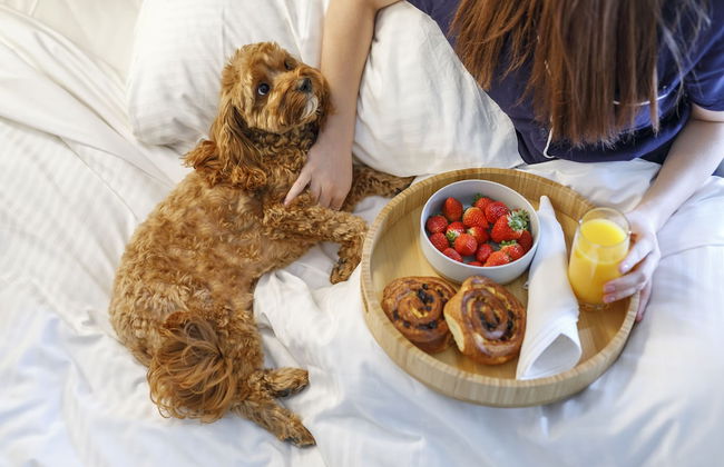 Quest Robina - Photo 35