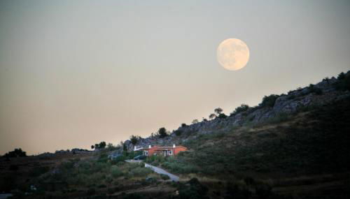 Cortijo Nuevo Alojamiento Rural - Foto 1