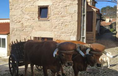 Aldeia de Moura Morta - Foto 6