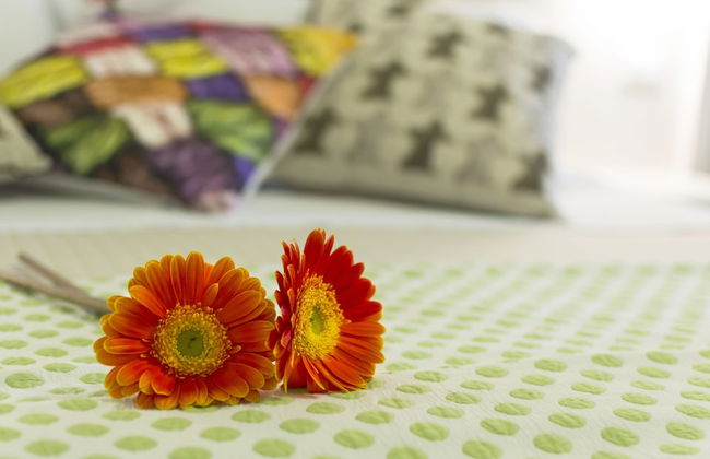 Agriturismo Il Megalite - Foto 6