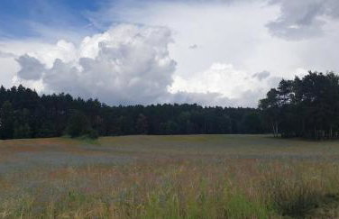 Wierzchy 34 - Photo 20