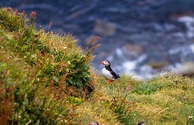 Aventura por el Círculo de Diamante - Tour de día completo - Foto 1