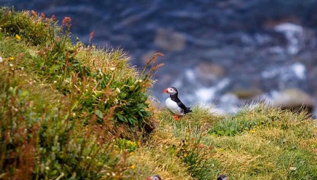 Aventura por el Círculo de Diamante - Tour de día completo - Foto 1