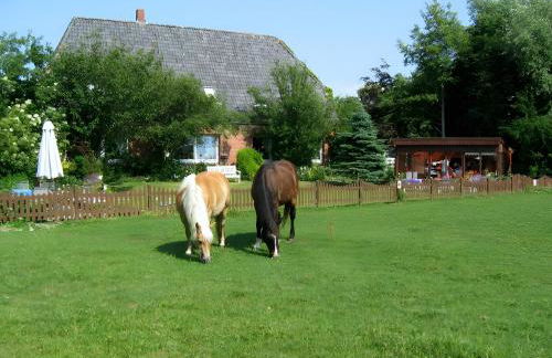 Fluss aufwärts - Foto 25