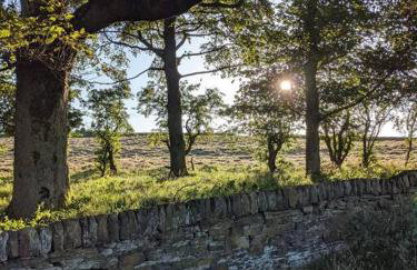 Detached 4 Bedroom Luxury Home - Foto 10