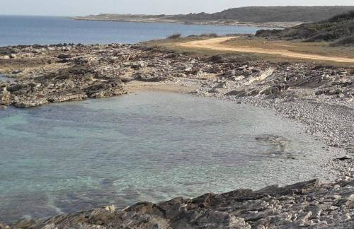 Apartman Nicol - Photo 15