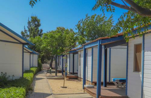 Orbitur Ilha de Armona - Foto 4