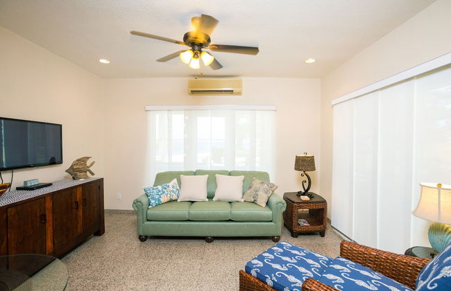 Lawson Rock - Angelfish 100 - Foto 5