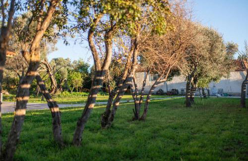 House by the sea - Foto 14