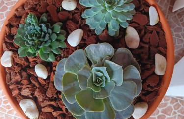 Casa da Rosarinha - Photo 16