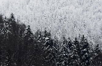 Alpska kuća Klek - Foto 24