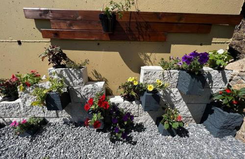 Casa Paisán - mountain view - Foto 11