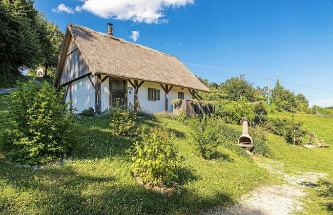 Vineyard cottage Škatlar 2 - Foto 1