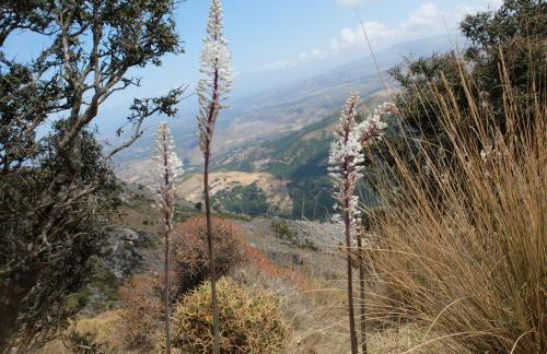 Marika's House - Foto 35