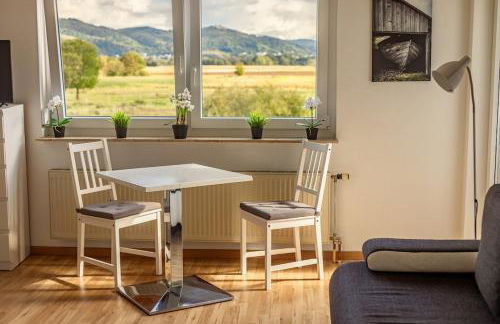 Pension Nickel Ferienwohnung DG Am Holzlachgraben - Foto 7