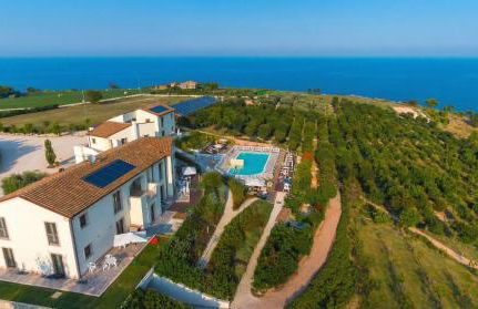 CONTEA DEI CILIEGI (official) - Foto 37