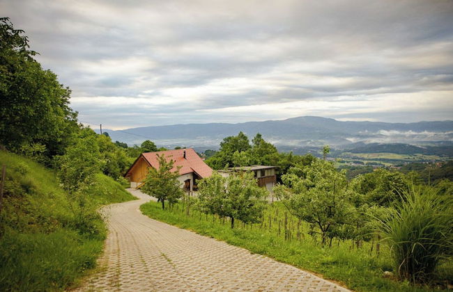 Vineyard Cottages Škatlar - Foto 74