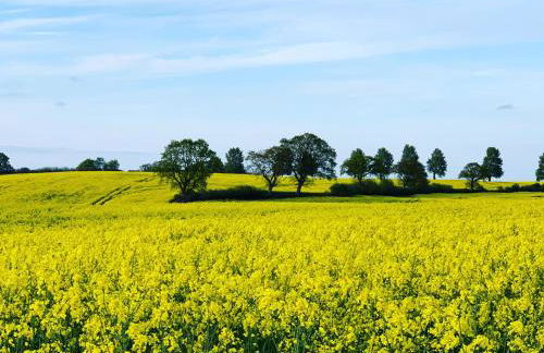 Gutshof Rothensande - Foto 9