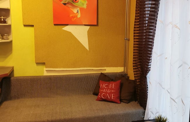 Orange Studio - Photo 27