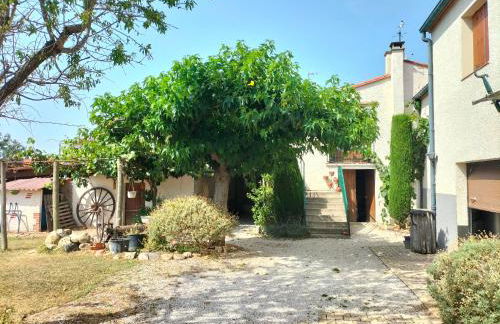 Apartament rural 2/4 PAX Vallespir - Photo 1