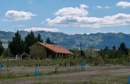 SAQA Organic Farm - Foto 14