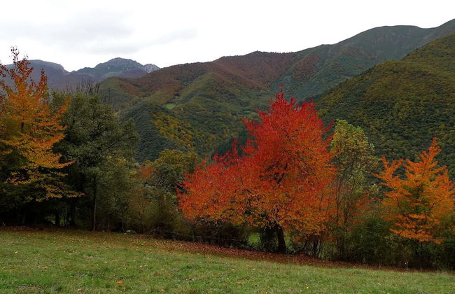 Viviendas Rurales Los Llares - Foto 35