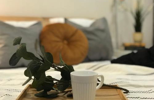 FIKA FLAT Casco Viejo PARKING 20 euro x día - Foto 10