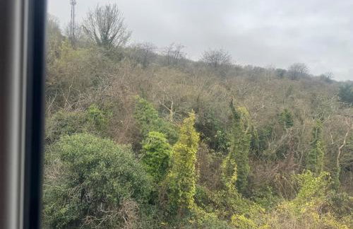 Apartment near Luton Airport, Train Station & Football Club - Foto 17