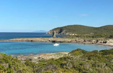 Vittoria Homes / Julia - Photo 24