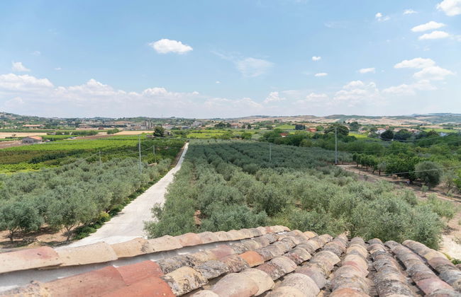 Oikos in Terre di Zaccanello - Photo 68