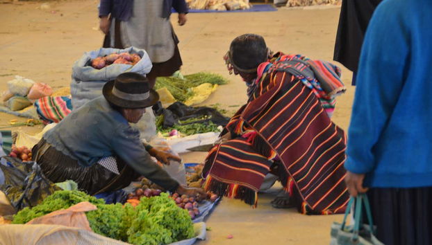 Una full immersion culturale