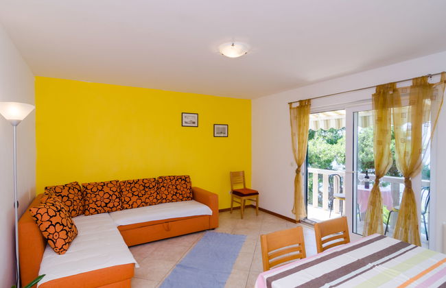 Plavac Mali - Foto 7