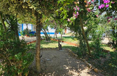 Cantinho da paz Peacefull Haven - Foto 33