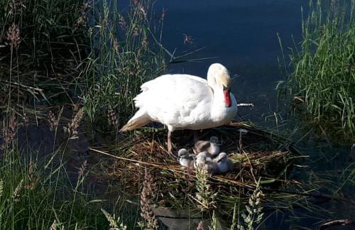 Appartements Bank Am See - Foto 36