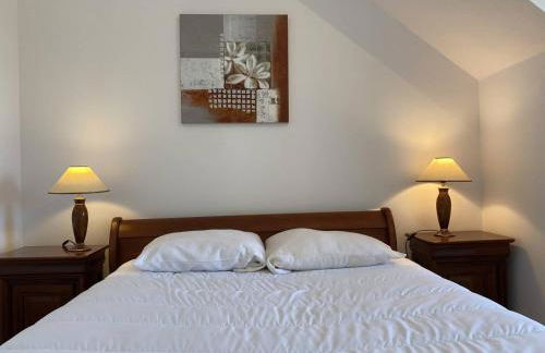 353 - T2 lumineux avec vue imprenable sur le Cap Fréhel et l'Anse du Croc. - Foto 7