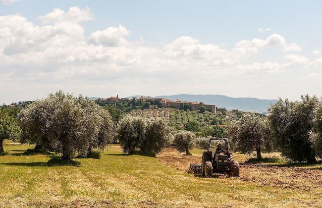 Tenuta Campospillo - Photo 25