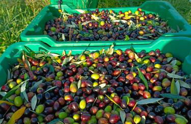 Degli Alessandri house - Foto 52