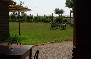 La Vigna Del Maestro - Foto 47