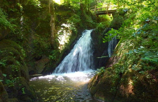 Cosy Apartment Near Center - Foto 34