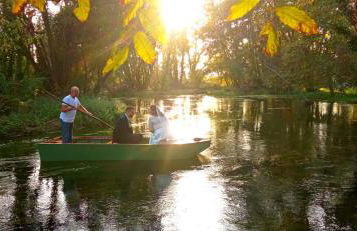 La Regina del Bosco - Foto 14
