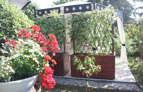 Palmira Apartments - Foto 17