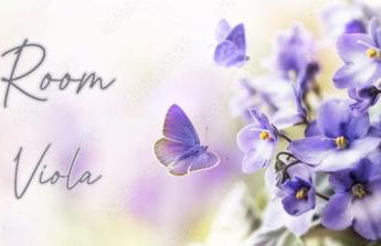 Agriturismo Terre Rosse Portofino - Foto 33