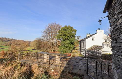 Green Yew - Photo 53